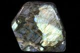 Lot: Lbs Free-Standing Polished Labradorite - Pieces #77654-3